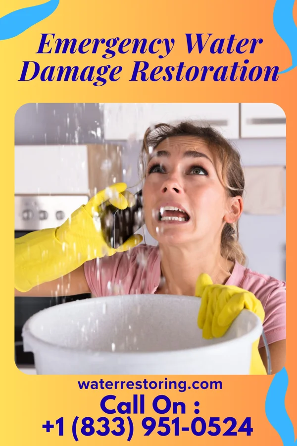 Emergency Water Damage Restoration in Ecru, MS