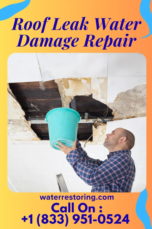 Roof Leak Water Damage Repair in Ecru, MS