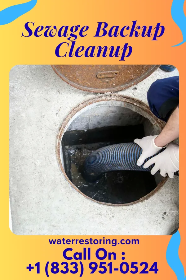 Sewage Backup Cleanup in Ecru, MS