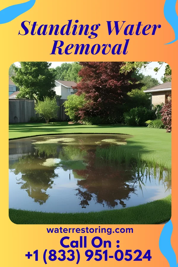 Standing Water Removal in Ecru, MS